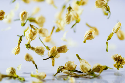 Jasmine: Benefits of Adding This Incredible Flower to Your Diet