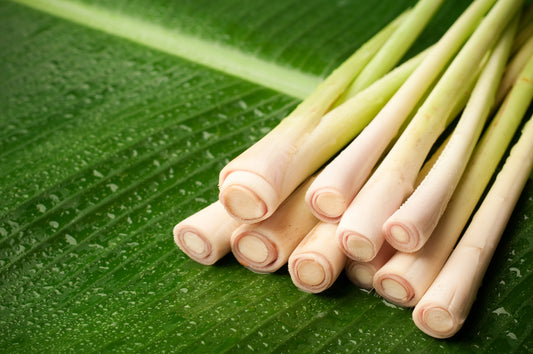 Health Benefits of Lemongrass Tea