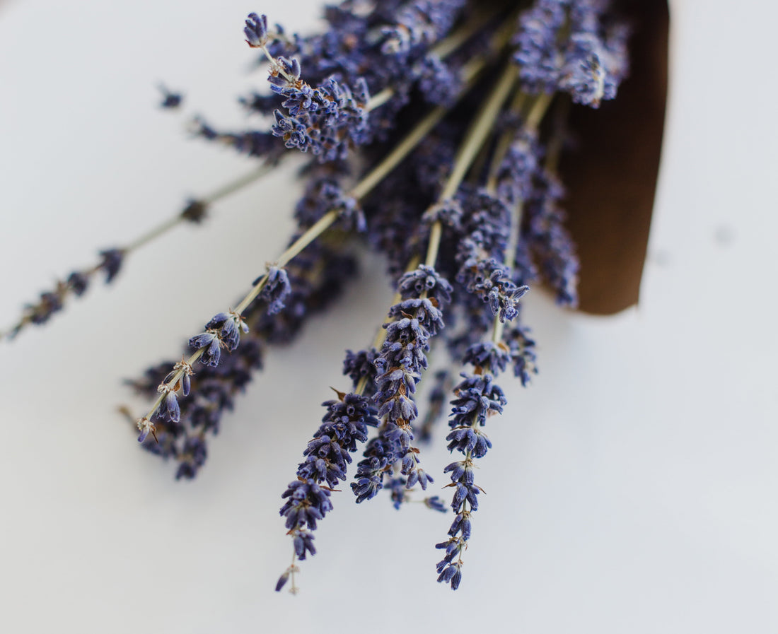 Calming Effects of Lavender
